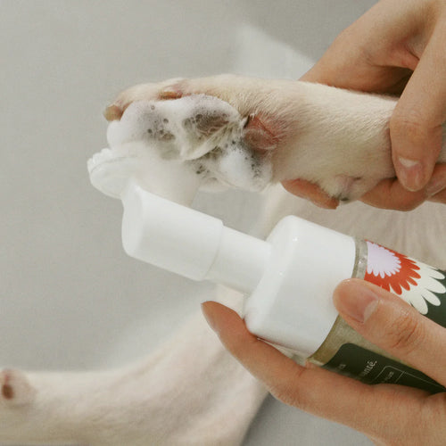 Clean Paws No-Rinse Foaming Cleanser (For Cats & Dogs)