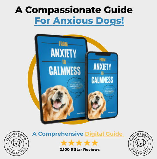 PawFreaks™- From Anxiety to Calmness